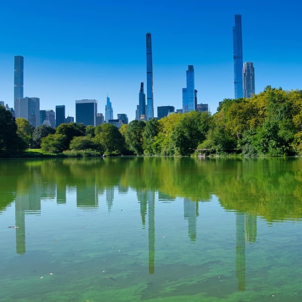 Meet your Posher, Julia